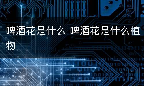 啤酒花是什么 啤酒花是什么植物