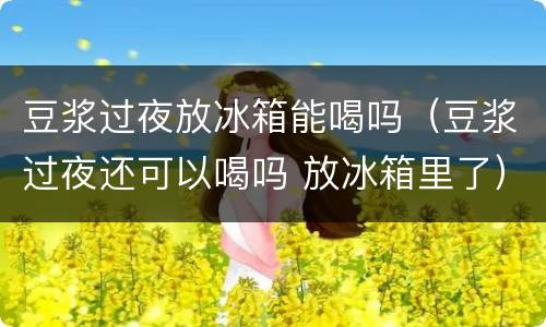 豆浆过夜放冰箱能喝吗（豆浆过夜还可以喝吗 放冰箱里了）