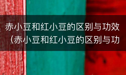 赤小豆和红小豆的区别与功效（赤小豆和红小豆的区别与功效与作用）