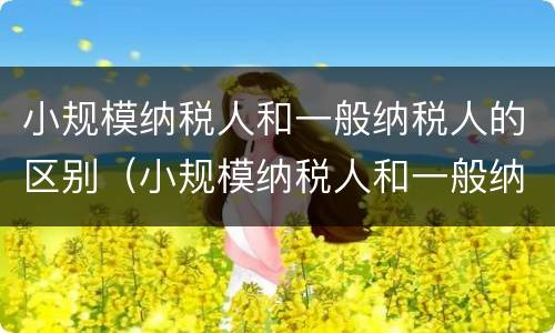 小规模纳税人和一般纳税人的区别（小规模纳税人和一般纳税人的划分标准）