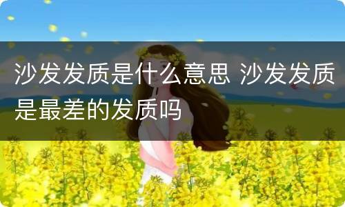 沙发发质是什么意思 沙发发质是最差的发质吗