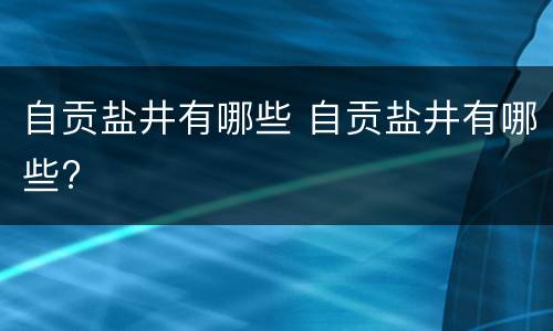 自贡盐井有哪些 自贡盐井有哪些?