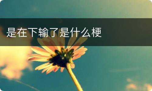 是在下输了是什么梗