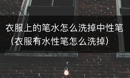 衣服上的笔水怎么洗掉中性笔（衣服有水性笔怎么洗掉）