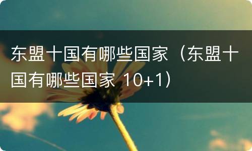 东盟十国有哪些国家（东盟十国有哪些国家 10+1）