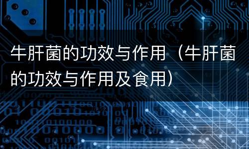 牛肝菌的功效与作用（牛肝菌的功效与作用及食用）