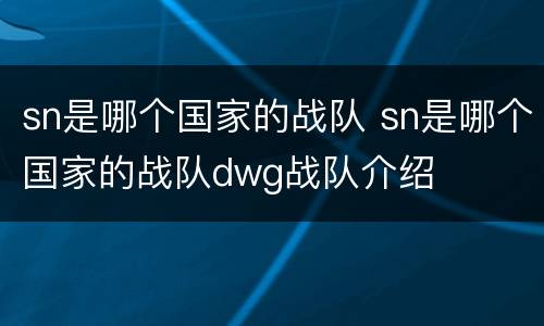 sn是哪个国家的战队 sn是哪个国家的战队dwg战队介绍