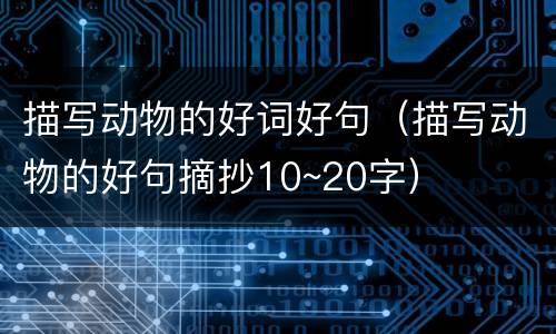 描写动物的好词好句（描写动物的好句摘抄10~20字）