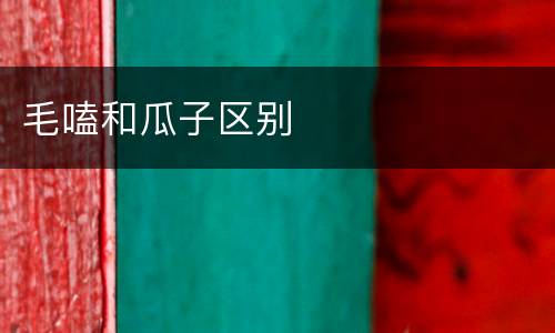 毛嗑和瓜子区别