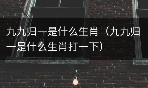 九九归一是什么生肖（九九归一是什么生肖打一下）