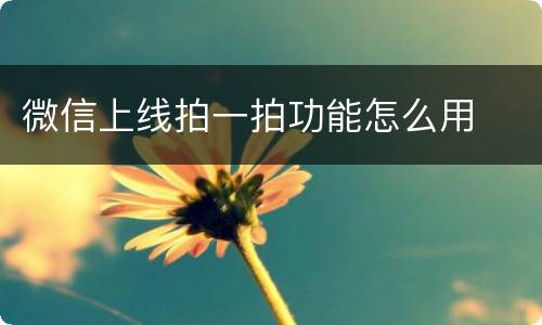 微信上线拍一拍功能怎么用