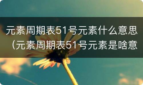元素周期表51号元素什么意思（元素周期表51号元素是啥意思）