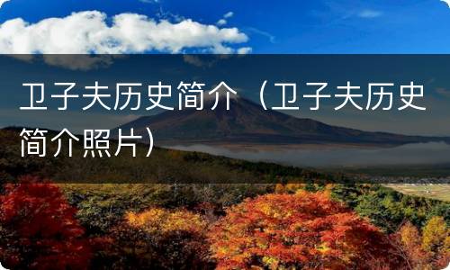 卫子夫历史简介（卫子夫历史简介照片）