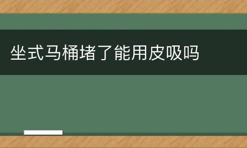 坐式马桶堵了能用皮吸吗