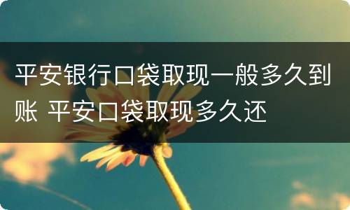 平安银行口袋取现一般多久到账 平安口袋取现多久还