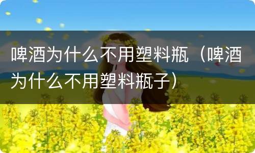 啤酒为什么不用塑料瓶（啤酒为什么不用塑料瓶子）