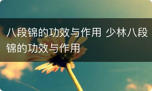 八段锦的功效与作用 少林八段锦的功效与作用