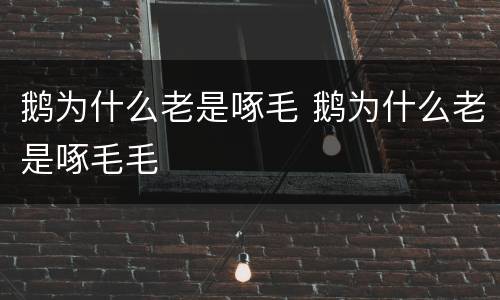 鹅为什么老是啄毛 鹅为什么老是啄毛毛