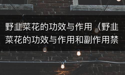 野韭菜花的功效与作用（野韭菜花的功效与作用和副作用禁忌）