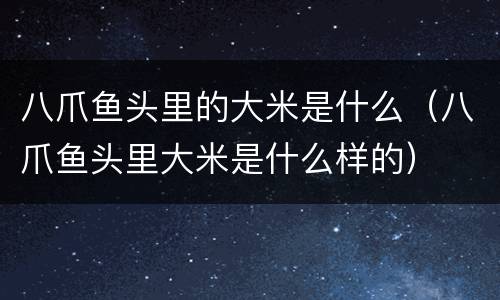 八爪鱼头里的大米是什么（八爪鱼头里大米是什么样的）