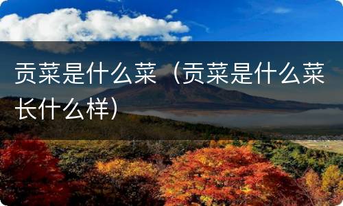 贡菜是什么菜（贡菜是什么菜长什么样）