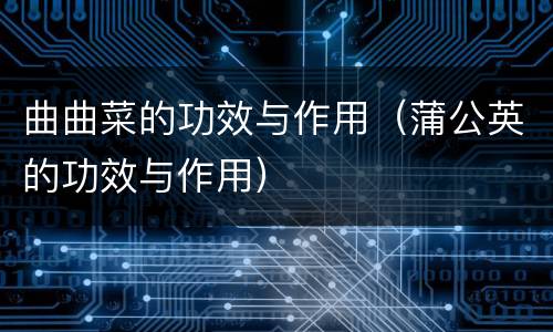 曲曲菜的功效与作用（蒲公英的功效与作用）