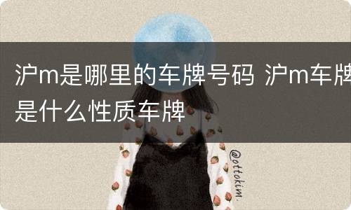 沪m是哪里的车牌号码 沪m车牌是什么性质车牌