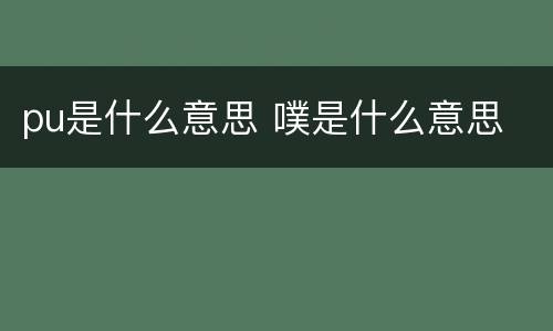 pu是什么意思 噗是什么意思