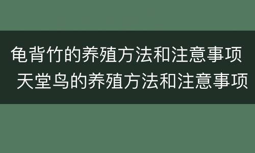 龟背竹的养殖方法和注意事项 天堂鸟的养殖方法和注意事项