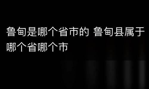 鲁甸是哪个省市的 鲁甸县属于哪个省哪个市