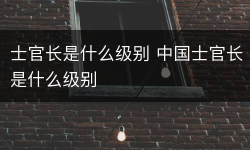 士官长是什么级别 中国士官长是什么级别