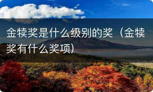 金犊奖是什么级别的奖（金犊奖有什么奖项）