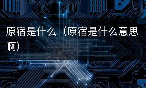 原宿是什么（原宿是什么意思啊）