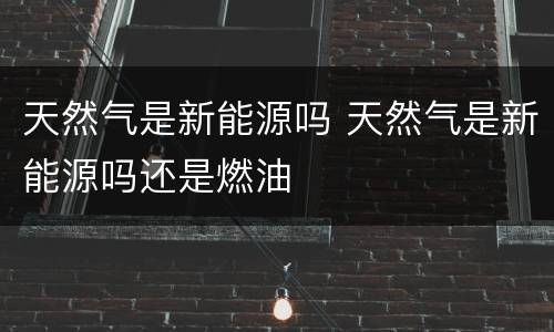 天然气是新能源吗 天然气是新能源吗还是燃油