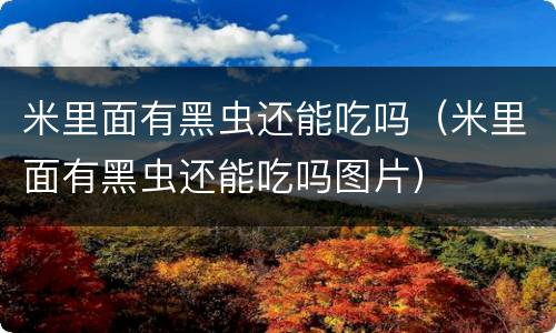 米里面有黑虫还能吃吗（米里面有黑虫还能吃吗图片）