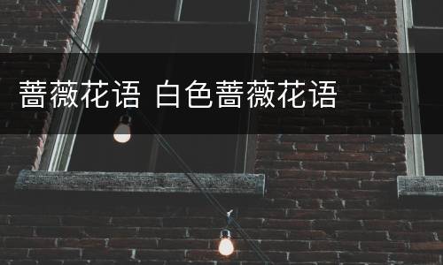 蔷薇花语 白色蔷薇花语