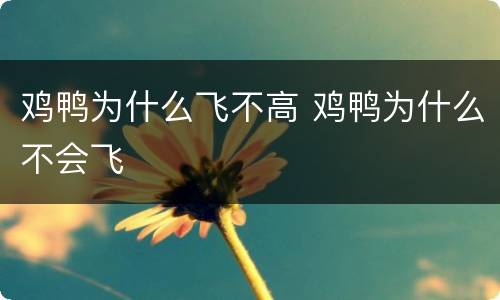 鸡鸭为什么飞不高 鸡鸭为什么不会飞