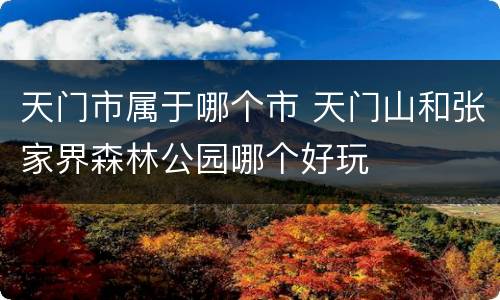 天门市属于哪个市 天门山和张家界森林公园哪个好玩
