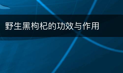 野生黑枸杞的功效与作用