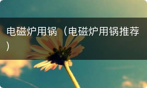 电磁炉用锅（电磁炉用锅推荐）