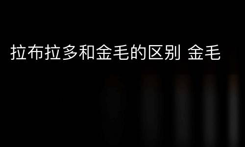 拉布拉多和金毛的区别 金毛