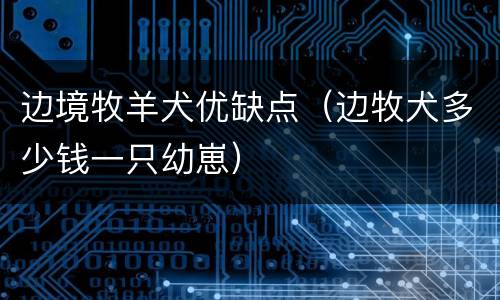 边境牧羊犬优缺点(边牧犬多少钱一只幼崽)