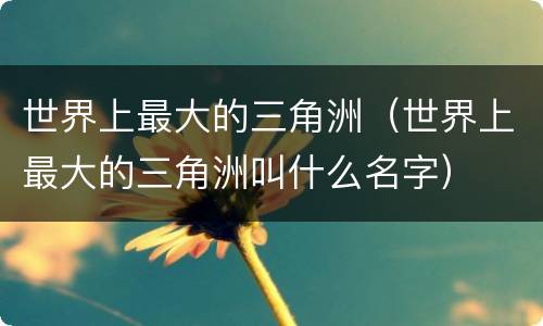 世界上最大的三角洲(世界上最大的三角洲叫什么名字)