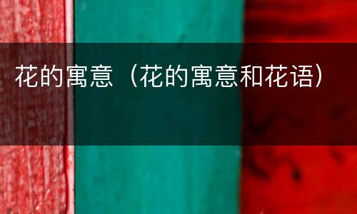 花的寓意（花的寓意和花语）