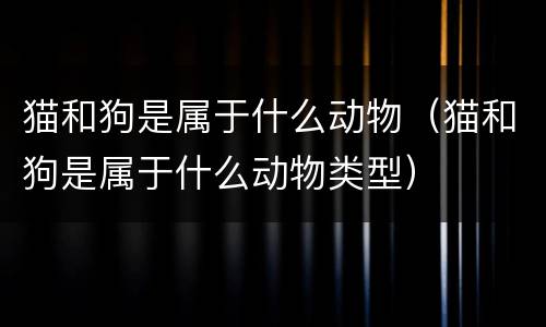 猫和狗是属于什么动物（猫和狗是属于什么动物类型）
