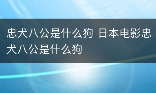 忠犬八公是什么狗 日本电影忠犬八公是什么狗