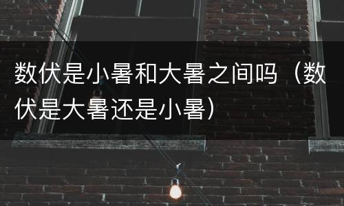 数伏是小暑和大暑之间吗（数伏是大暑还是小暑）