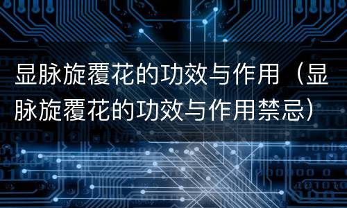 显脉旋覆花的功效与作用（显脉旋覆花的功效与作用禁忌）