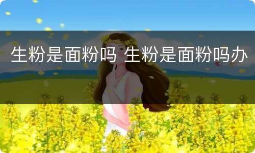 生粉是面粉吗 生粉是面粉吗办
