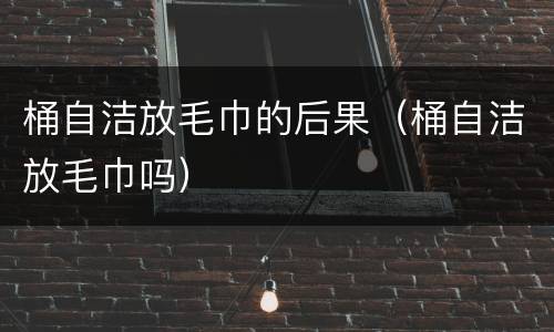 桶自洁放毛巾的后果（桶自洁放毛巾吗）